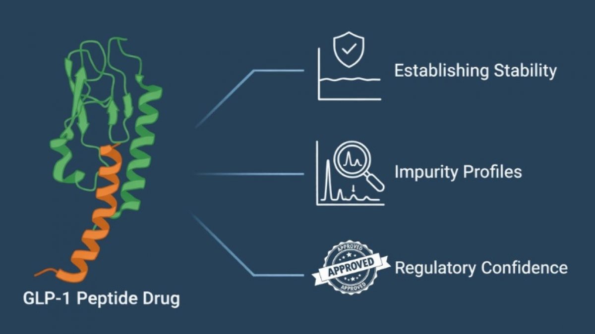glp 1 based therapeutics summit GLP-1 Impact: How GLP-1s Are Changing the Diabetes Treatment Paradigm