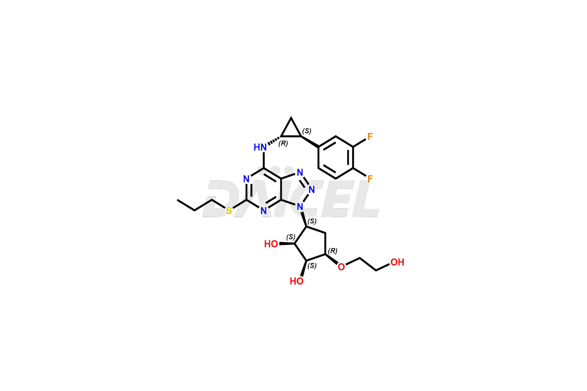DCTI-C-005175