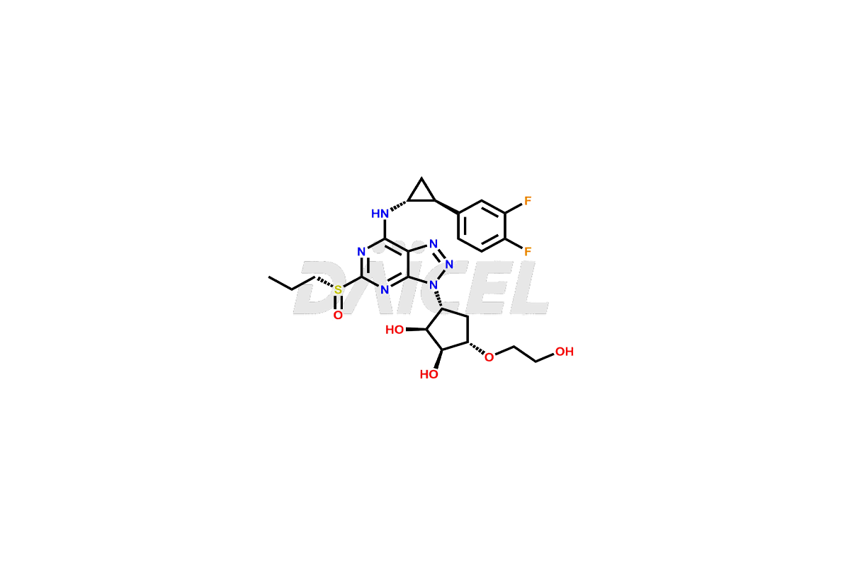 DCTI-C-005613